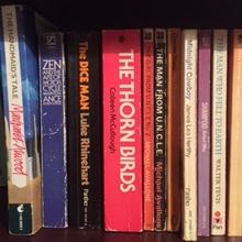 Guilt by Lynn Steinsondiceman A roam around my books 5 - books to be left alone