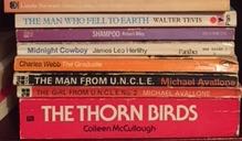 Guilt by Lynn Steinsondiceman A roam around my books 5 - books to be left alone