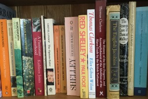 Guilt by Lynn Steinsonpoets-300x201 A roam around my books 7 - studying the historian