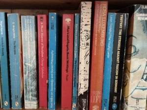 Guilt by Lynn Steinsonimage-300x225 A roam around my books 10 - the empty spaces